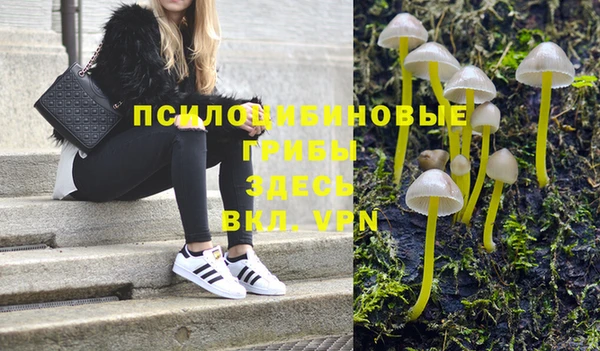 герыч Верхний Тагил