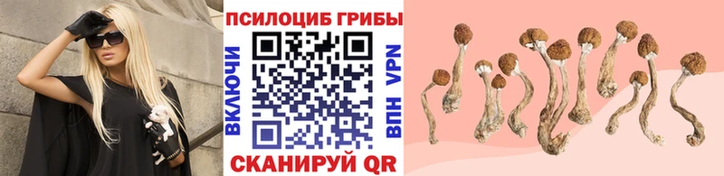 даркнет сайт  Белгород  Псилоцибиновые грибы Psilocybe 